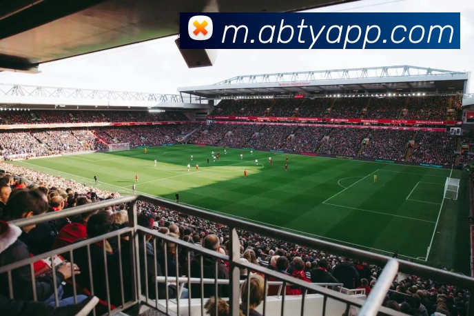 App Interface Preview